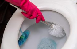 Kleansg toilet cleaning